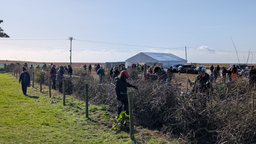 Decent weather this year