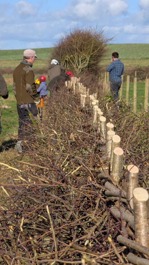 Working in the Team Class