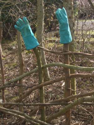 A pair of gloves on stakes