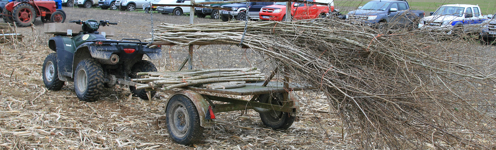 A quad bike with a load of stakes and heathers on the trailer
